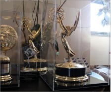 Emmy Display Case