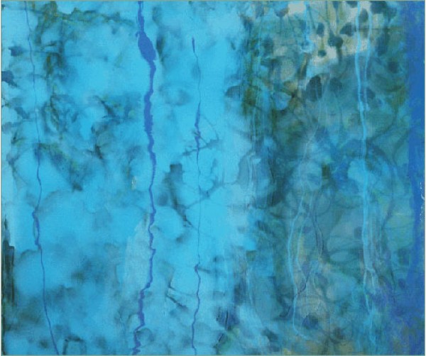 Christo Braun's Artwork