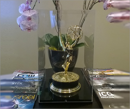 Custom Emmy Display Case