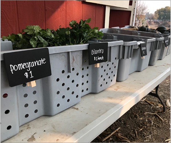 Food Bin Labels