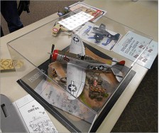 Model Plane Display Case