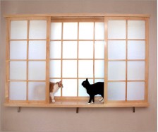 Synskin Windows