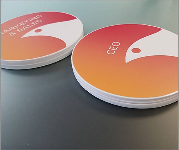 Soltec Promo Acrylic Discs