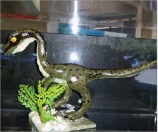 Velociraptor Model