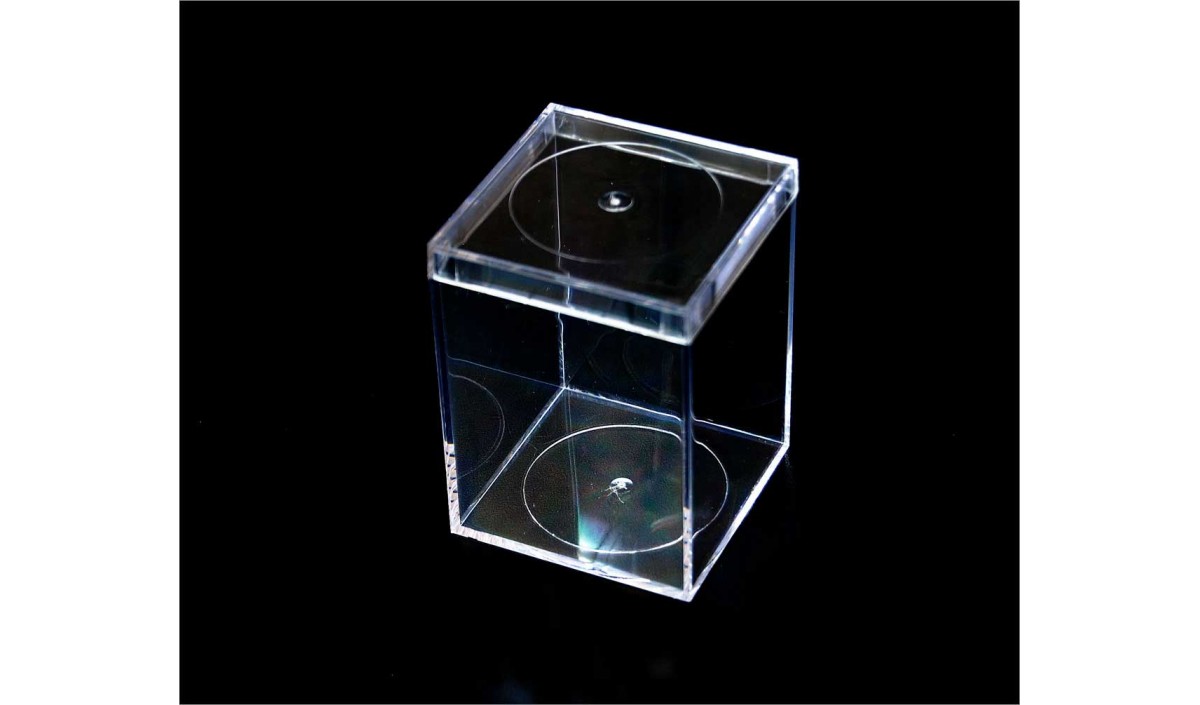 Clear Plastic Display Boxes TAP Plastics