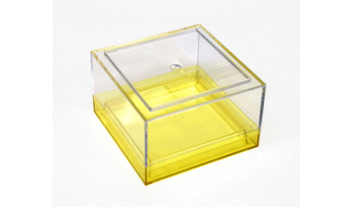 Plastic Box Canister Series Boxes with Colored Bases TAP Plastics