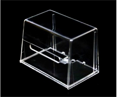Plastic Acrylic Coin Bank