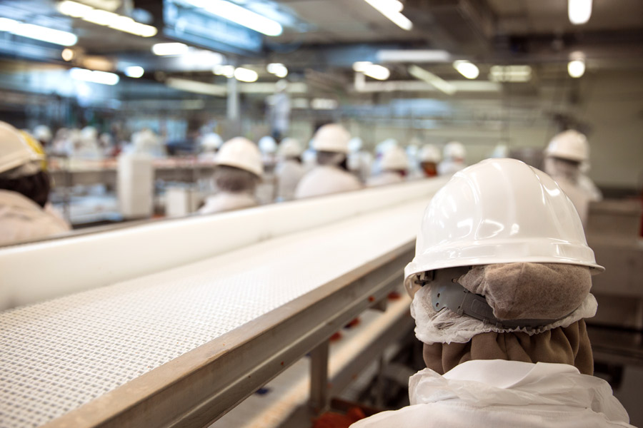 Food-grad-industrial-polymer